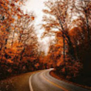 Meet your Posher, Beverly